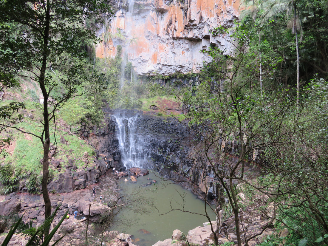 Review: Springbrook National Park